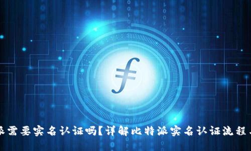 比特派需要实名认证吗?详解比特派实名认证流程与要求