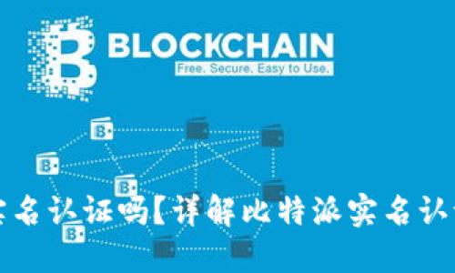 比特派需要实名认证吗?详解比特派实名认证流程与要求