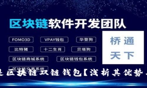 什么是区块链双链钱包?浅析其优势与应用